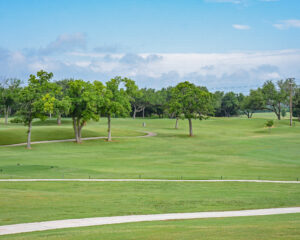 Green fairway