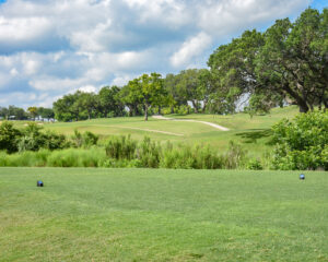 Green tee box and fairway.